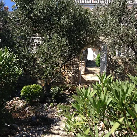 Appartement Olivengarten Drage